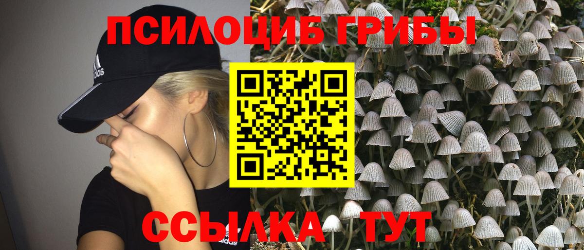 как найти наркотики  Вход с VPN  Стерлитамак  Галлюциногенные грибы мухоморы 