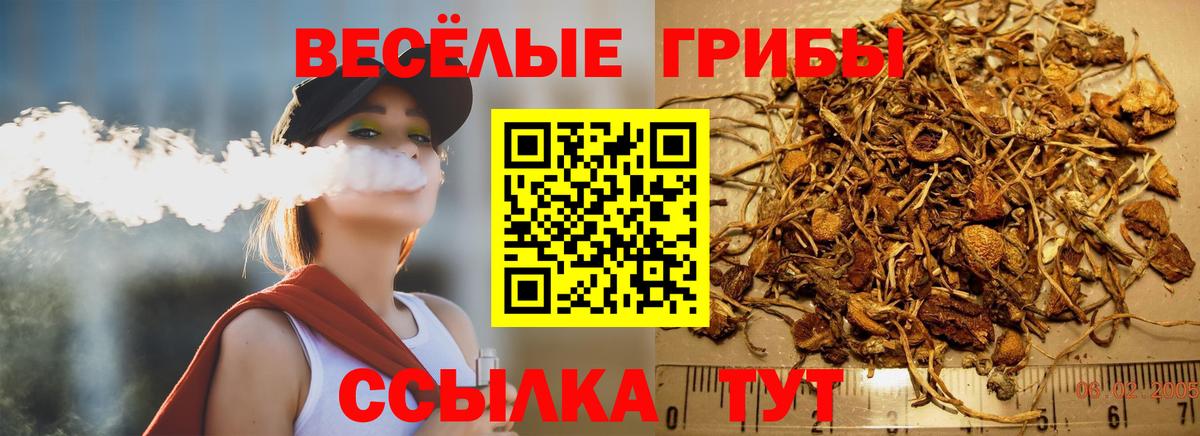 Галлюциногенные грибы MAGIC MUSHROOMS  Стерлитамак 